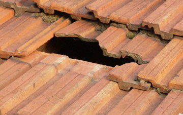 roof repair Edington